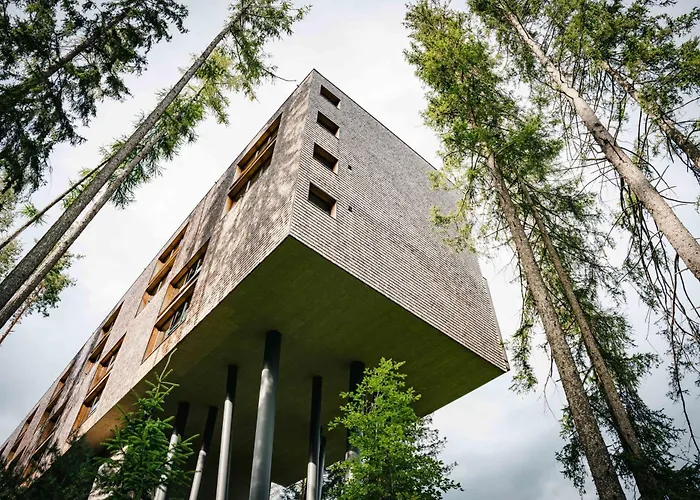 My Arbor - Dolomites