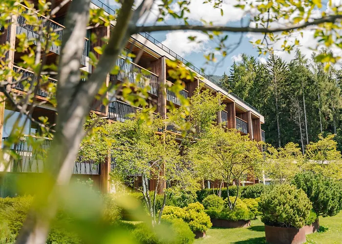 My Arbor - Dolomites